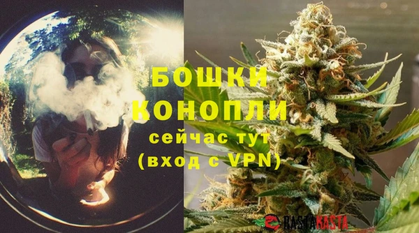 каннабис Белокуриха